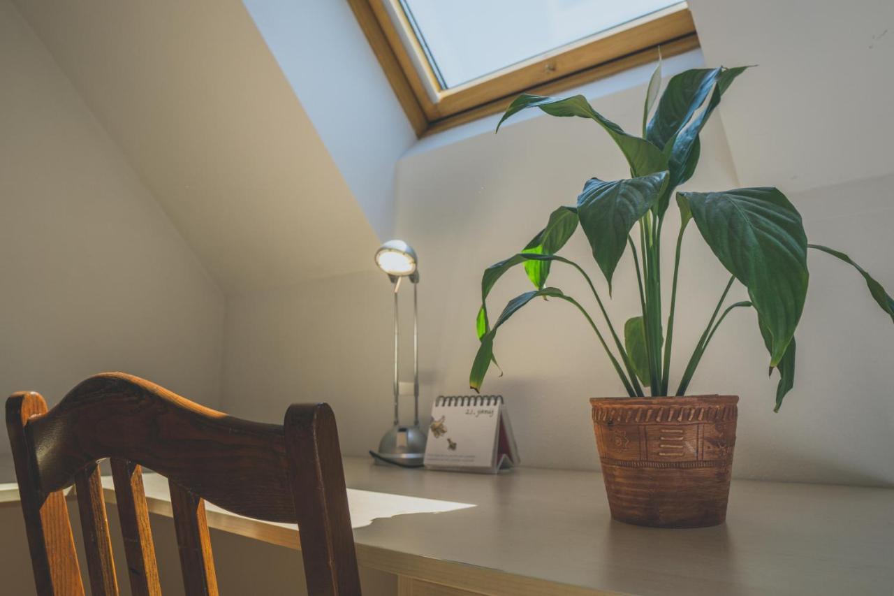 Apartment Amak With Free Onsite Parking Bovec Buitenkant foto
